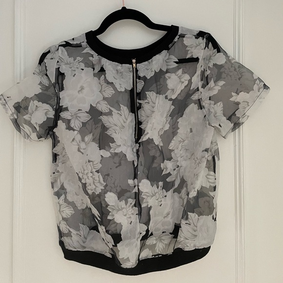 Sheer Blouse - Picture 2 of 4